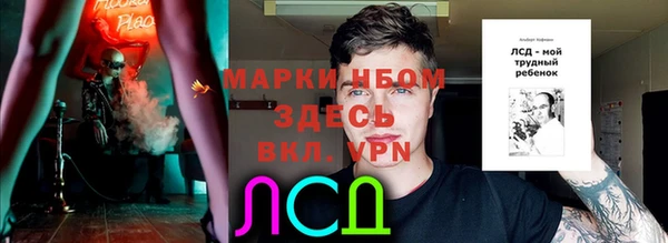 гидра Няндома