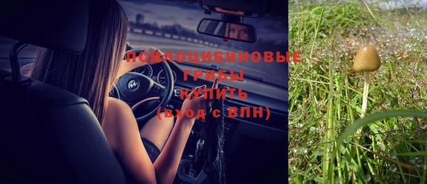 гидра Няндома