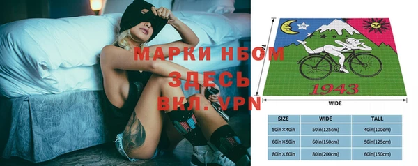 гидра Няндома