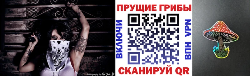 площадка наркотические препараты  как найти закладки  Нарткала  Псилоцибиновые грибы Psilocybe  МЕГА ССЫЛКА 