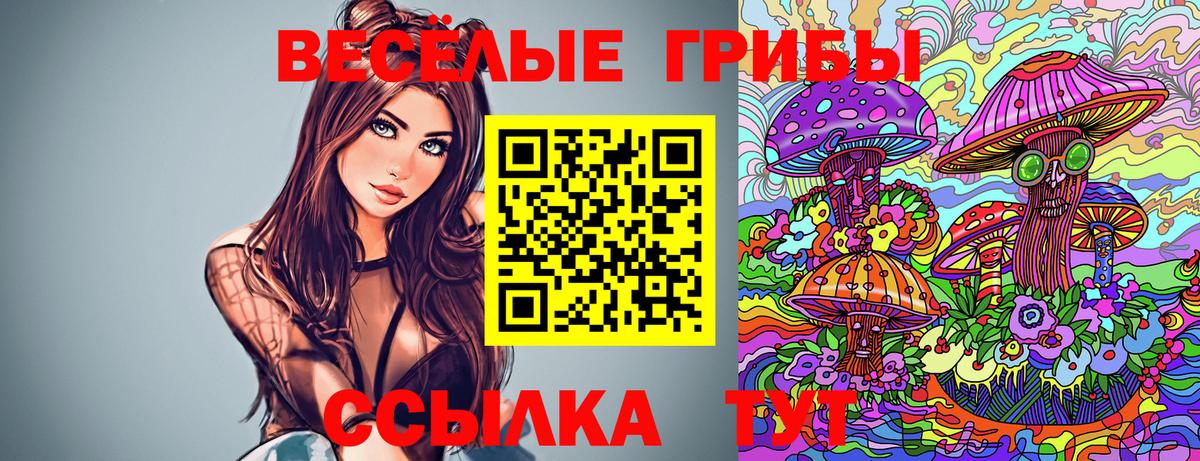 Нарткала  Галлюциногенные грибы прущие грибы  Вход с VPN  Галлюциногенные грибы GOLDEN TEACHER 